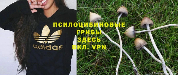 гашик Абаза