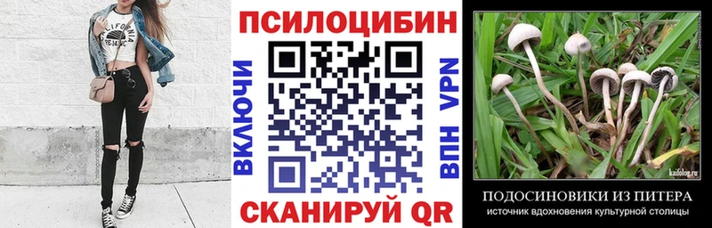 даркнет сайт  Райчихинск  ссылка на мегу tor  Галлюциногенные грибы Magic Shrooms 